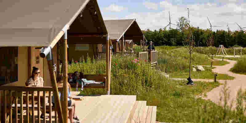 20250710 FAARUP SOMMERLAND SKOVBRYNET 236