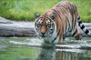Aalborg Zoo