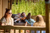 20250710 FAARUP SOMMERLAND SKOVBRYNET 235