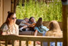 20250710 FAARUP SOMMERLAND SKOVBRYNET 235