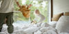 FAARUP SOMMERLAND 20250505 0395