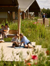 20250710 FAARUP SOMMERLAND SKOVBRYNET 237