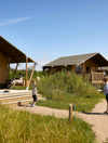 20250710 FAARUP SOMMERLAND SKOVBRYNET 252