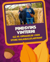 Efteraar2026 Hoestest Pindsvinsvinterhi