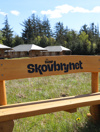Skovbrynet 2025 36