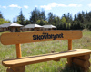 Skovbrynet 2025 36