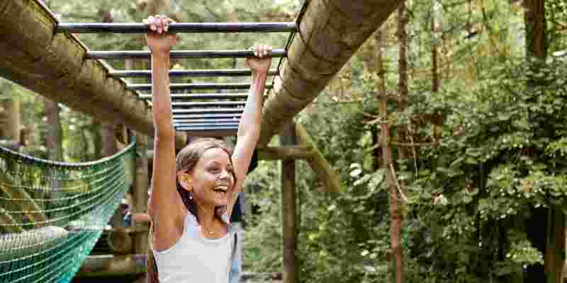 Skattejagten 2024 Web 7