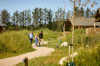 20250710 FAARUP SOMMERLAND SKOVBRYNET 205