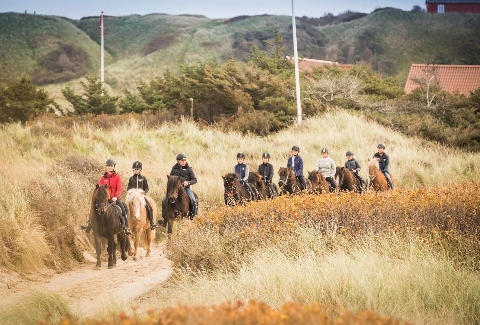 Hestetur Plantagen 2019 0717