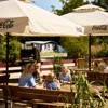 20250710 FAARUP SOMMERLAND SKOVBRYNET 178