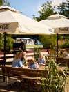 20250710 FAARUP SOMMERLAND SKOVBRYNET 178