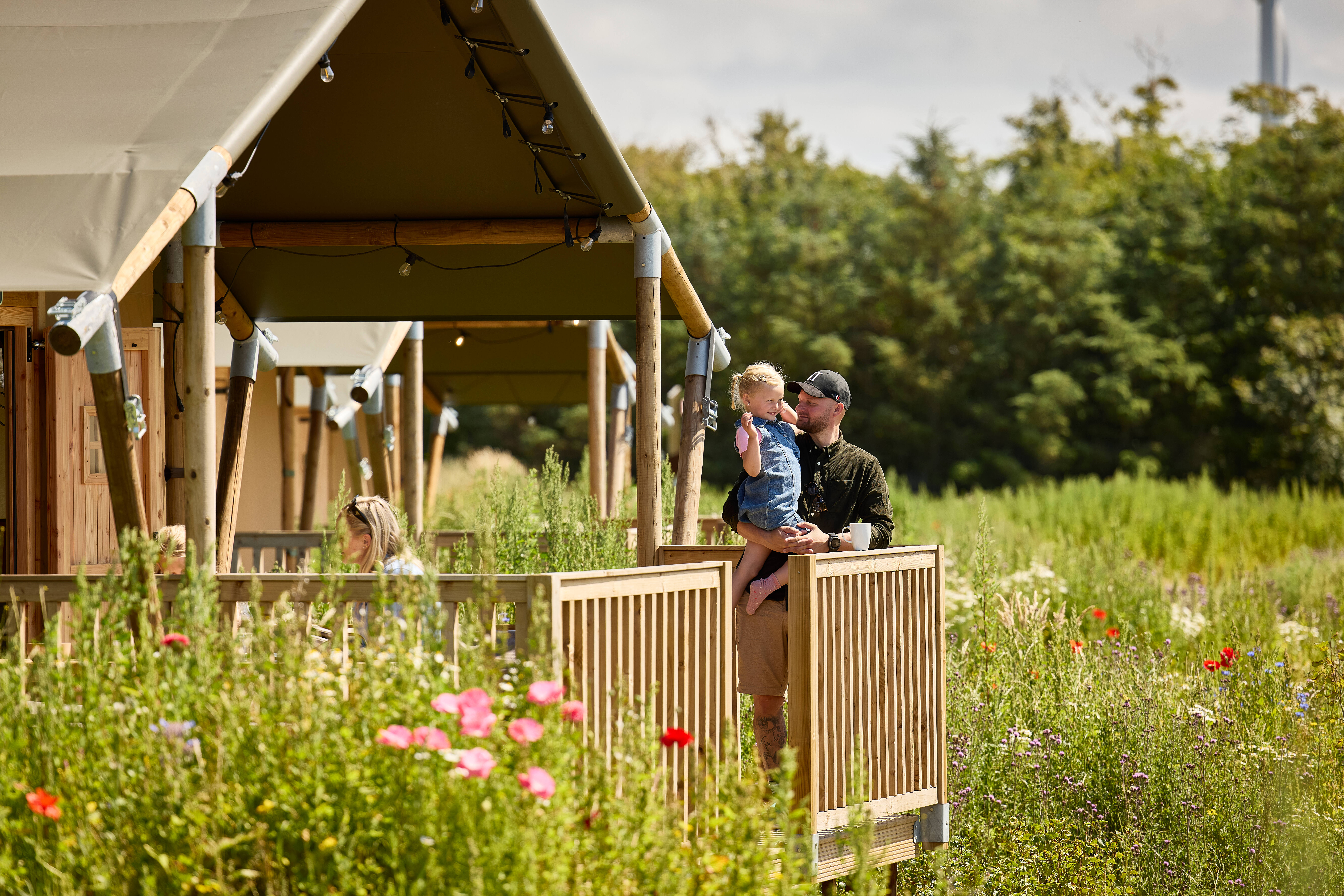 20250710 FAARUP SOMMERLAND SKOVBRYNET 244